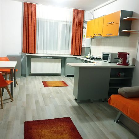 Friendly Rentals Vivamus Braşov Exterior foto
