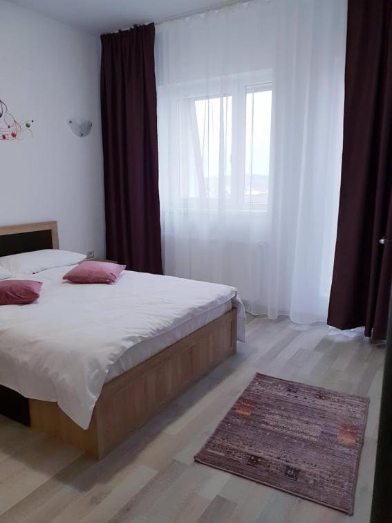Friendly Rentals Vivamus Braşov Exterior foto